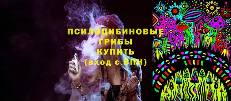 Галлюциногенные грибы Psilocybine cubensis  Копейск 